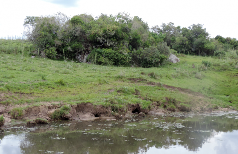 El monte, el agua y el suelo